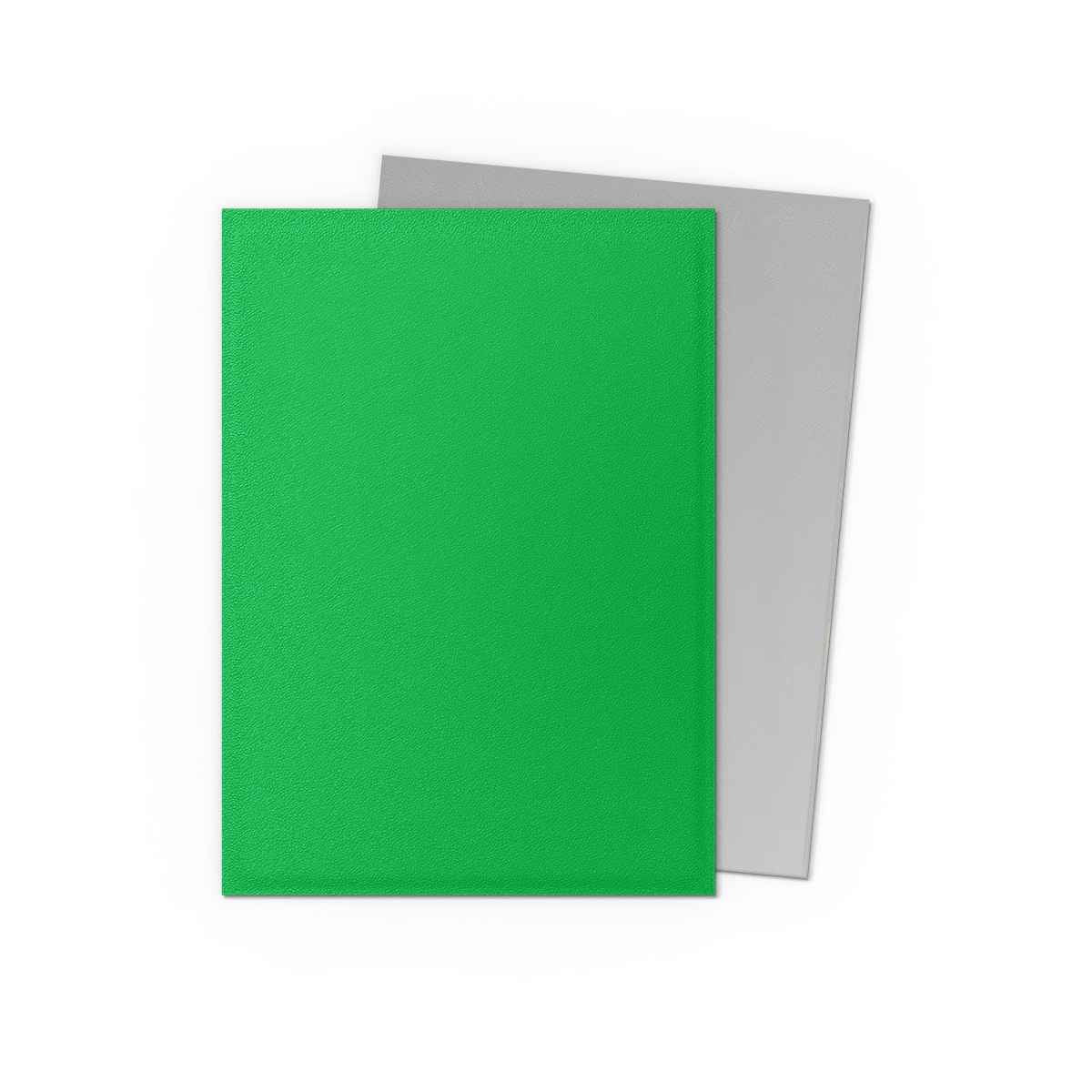 Dragon Shield Sleeves – Dual Matte Apple Green & Silver (100 pieces)